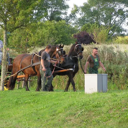 아파트 Ferienapartment-ruegen Neddesitz